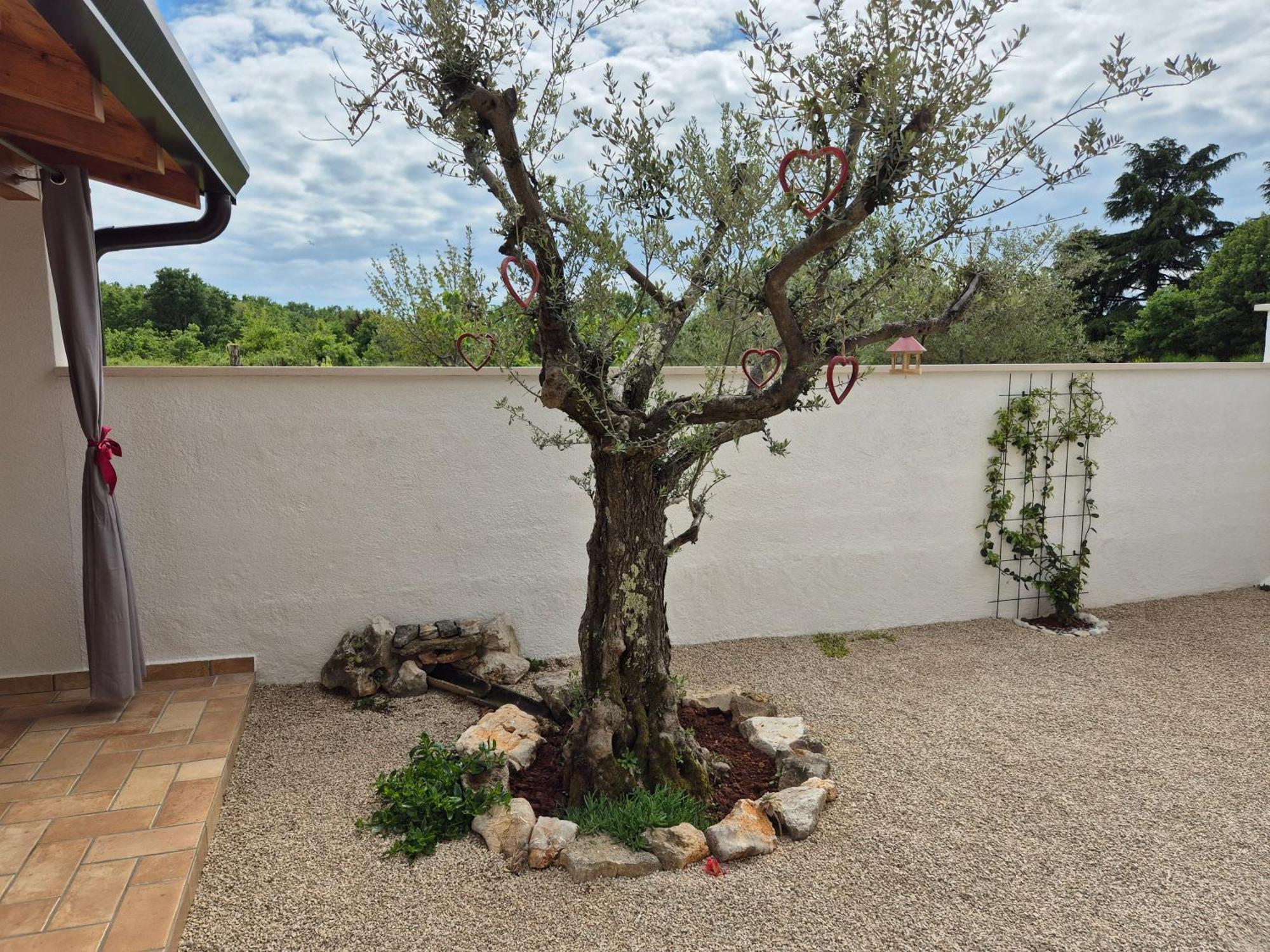 Apartment Vinja Porec - Privat Garden - Whirlpool Eksteriør billede