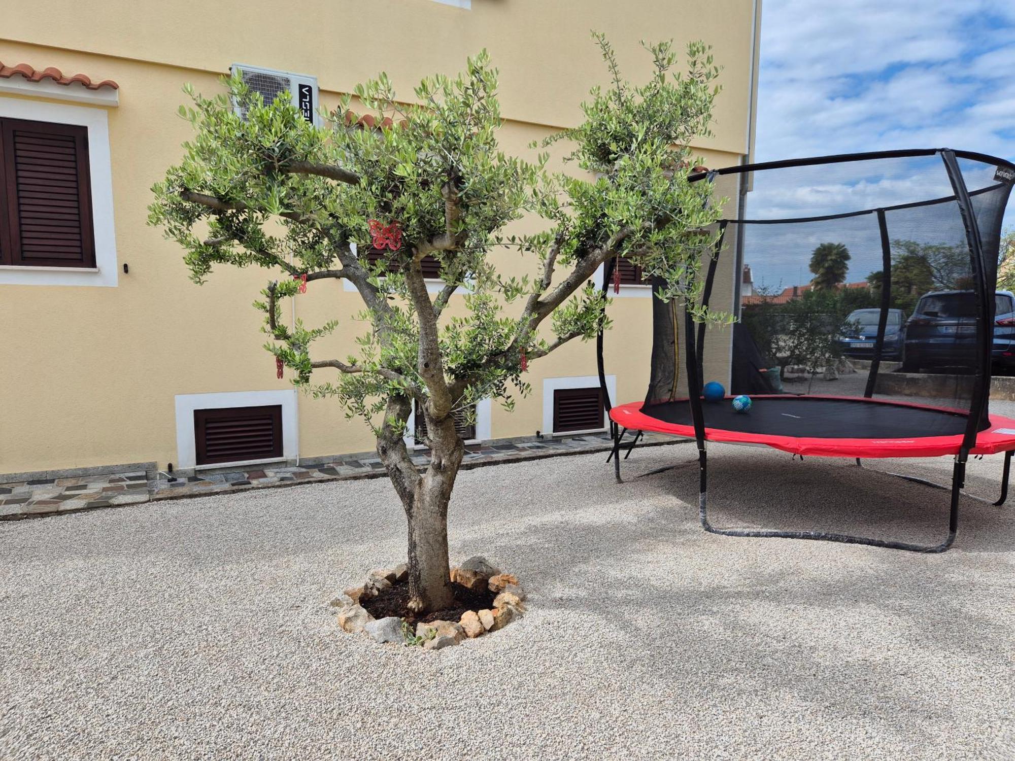 Apartment Vinja Porec - Privat Garden - Whirlpool Eksteriør billede